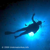 Diver